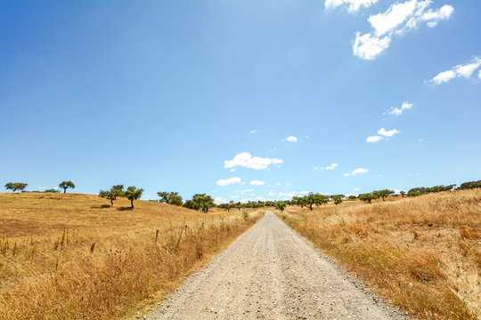 Gravel road through hilly Alentejo landscape with cork oak trees and yellow fields in late summer near Beja, Portugal Europe