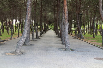 Primavera en el Centro