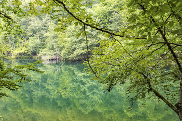 Türkiye Bolu Yedigöller