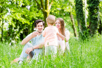 Fototapeta premium Little boy running over meadow with family in background