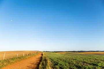 Agricultura - Sul do Brasil