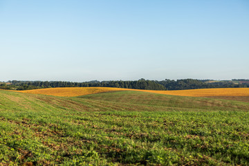 Fototapeta premium Agricultura - Sul do Brasil