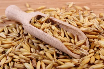 Gordijnen Heap of organic oat grains with scoop, healthy nutrition concept © ratmaner