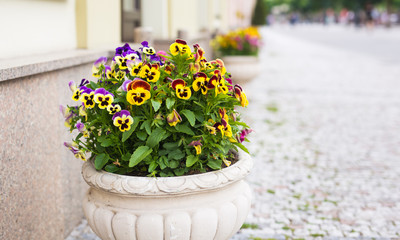 flowers in vase on the street