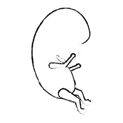 monochrome blurred silhouette of side view fetal growth