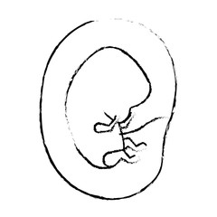 monochrome blurred silhouette of side view fetus human embryo growth in placenta