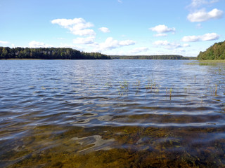 View of the lake in the sunny day