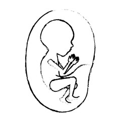 monochrome blurred silhouette of side view fetus human growth in placenta semestrer