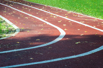 Three racetracks in the stadium, sprinkled with yellow leaves