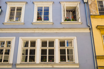 Fototapeta na wymiar windows with flower pots