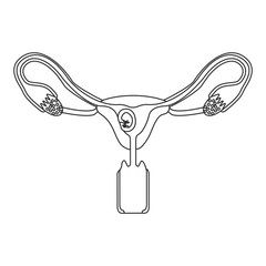 monochrome silhouette of female reproductive system ovaries with fetus human growth a few weeks