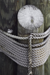 rope tied at the dock