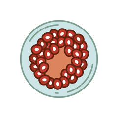 color silhouette of front view division of the ovule in several cells forming a life