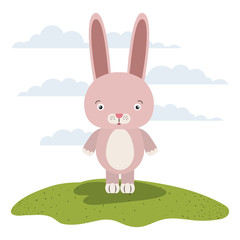 white background with color scene cute rabbit animal in grass