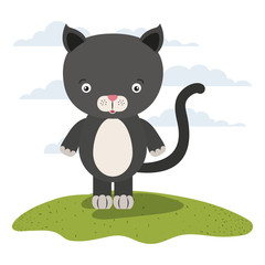 white background with color scene cute cat animal in grass