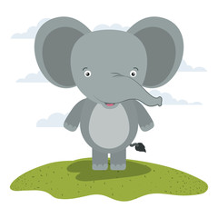 white background with color scene cute elephant animal in grass