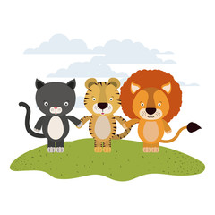 Plakat white background with color scene cat tiger and lion cute animals holding hands in grass