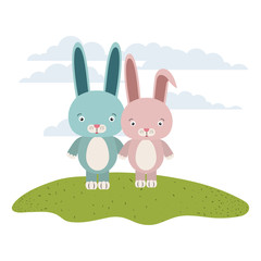 white background with color scene couple cute rabbits animals in grass
