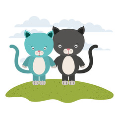 white background with color scene couple cute cats animals in grass