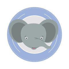 white background with color frame decorative and face elephant cute animal