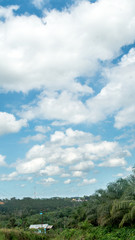 Obraz premium cloud over palm oil plantation in Indonesia