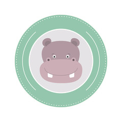 white background with color frame decorative and face hippopotamus cute animal