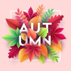 Autumn banner background with paper fall leaves. Vector illustration