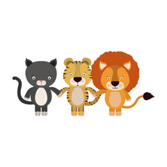 white background with colorful caricature cat tiger and lion cute animals holding hand