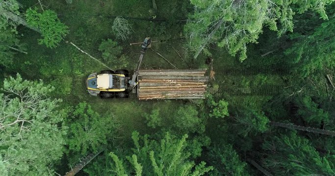 A machine is riding through the forest picking up felled trees