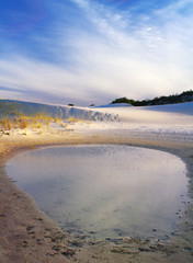 brazilian dunes