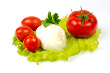 mozzarella and tomatoes on salad leaf