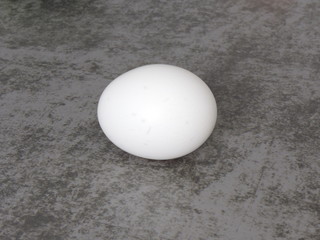 A white egg on a gray background. Close-up