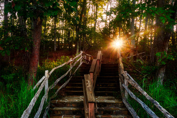 Sunrise up the Steps