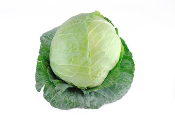 close up on fresh cabbage