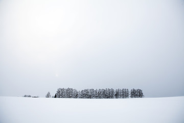 Hokkaido in winter - 168004700