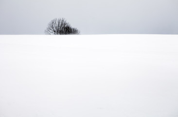 Hokkaido in winter - 168004705