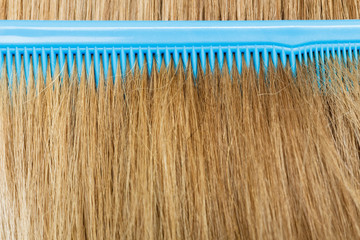 Close up of blue comb in blonde hair.