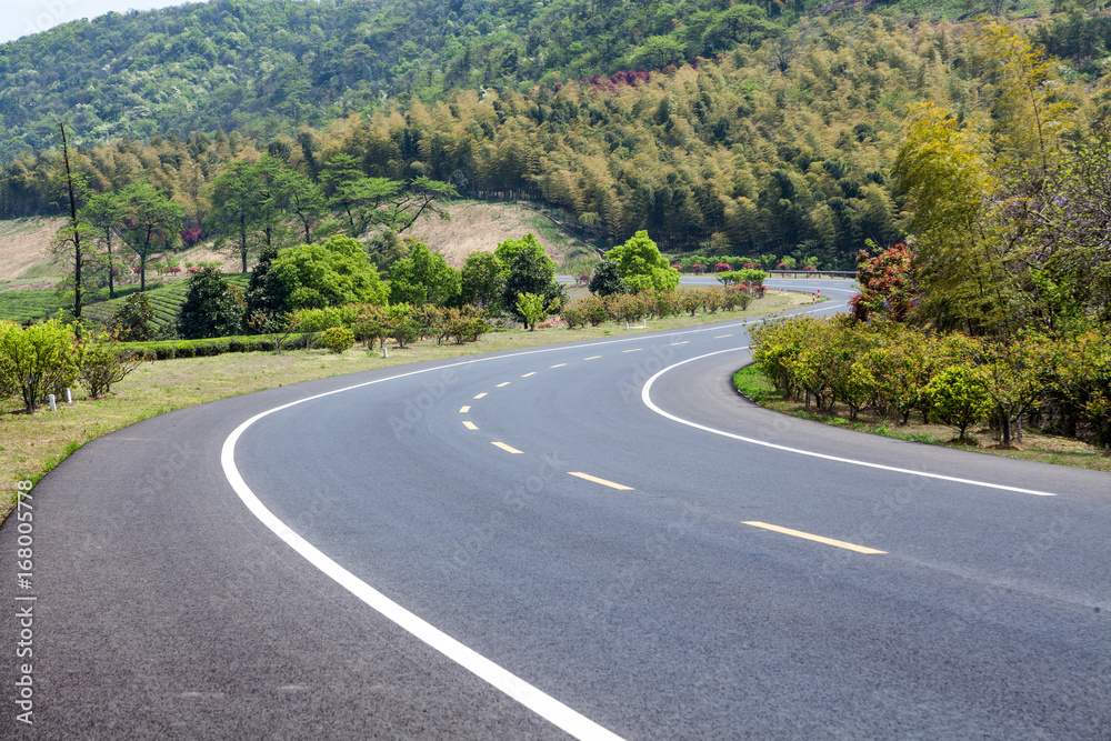 Canvas Prints Mountain road