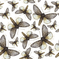 Watercolor drawing seamless background of shaggy butterfly moths, night butterfly, brown color, wings light with spots on white background for decor, prints