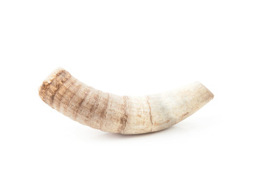 Rosh Hashana holiday