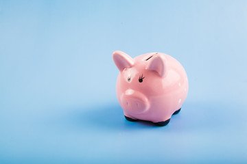 Pink pig and coins isolated