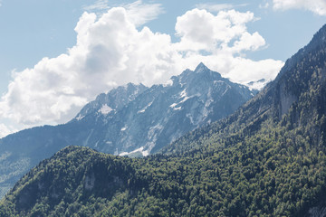 Mountain landscape with trees and alpine meadows.