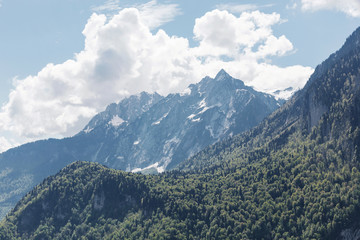 Fototapeta na wymiar Mountain landscape with trees and alpine meadows.