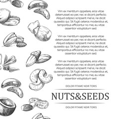 Banner or poster with hand sketched nuts and seeds