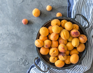 Apricots in metal dishes 