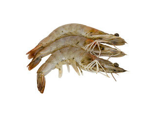Three fresh shrimps isolated on white background. Clipping path
