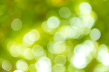 Fototapeta premium bokeh on nature ,abstract blur background