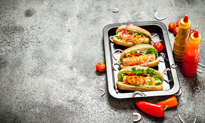 Street food. hot dogs with herbs and vegetables in the pan.On rustic background.