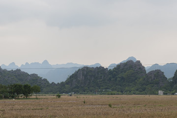 Reisfelder im Gebirge in Vietnam, Hanoi 
