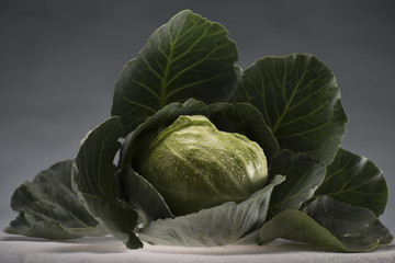 healthy cabbage covered in water drops